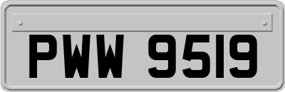 PWW9519