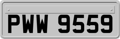 PWW9559