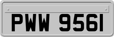 PWW9561