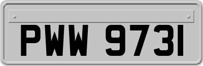 PWW9731