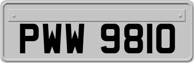 PWW9810