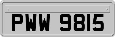 PWW9815