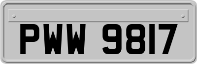 PWW9817