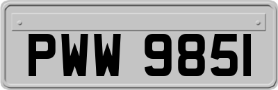 PWW9851