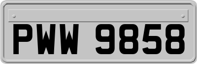 PWW9858