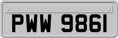 PWW9861