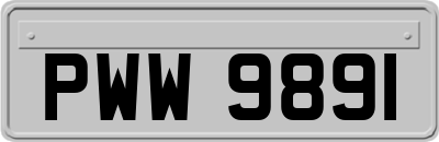 PWW9891