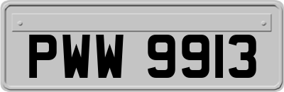 PWW9913