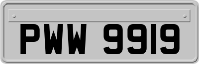 PWW9919