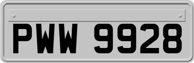 PWW9928