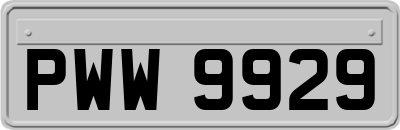 PWW9929