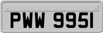 PWW9951