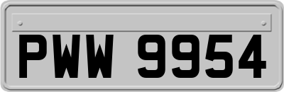 PWW9954