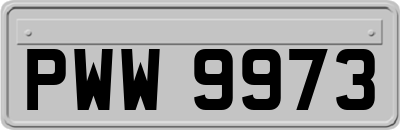 PWW9973