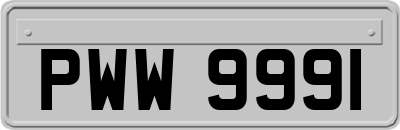 PWW9991