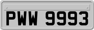 PWW9993