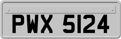 PWX5124