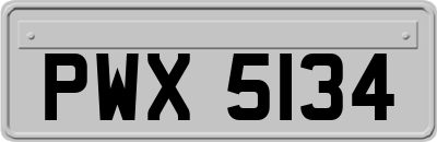 PWX5134