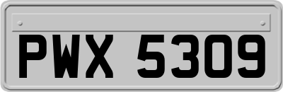 PWX5309