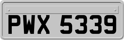 PWX5339