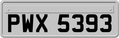 PWX5393