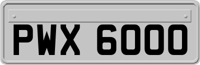 PWX6000