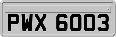 PWX6003