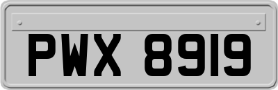 PWX8919