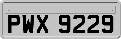 PWX9229