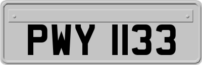 PWY1133