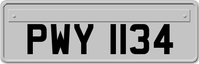 PWY1134