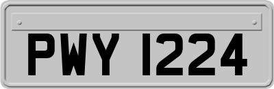 PWY1224