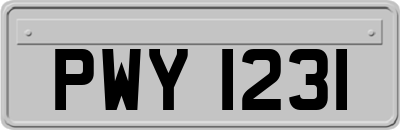 PWY1231