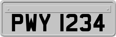 PWY1234