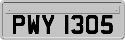 PWY1305