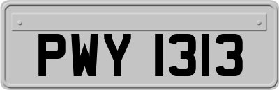 PWY1313