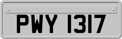 PWY1317