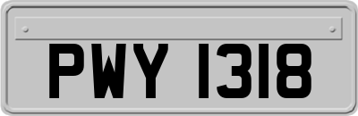 PWY1318