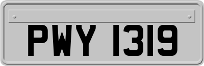 PWY1319