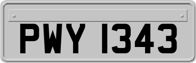 PWY1343