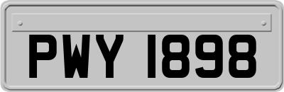 PWY1898