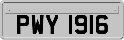 PWY1916