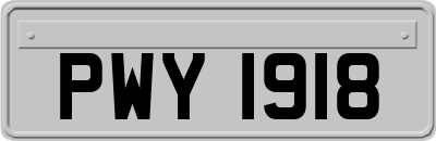 PWY1918