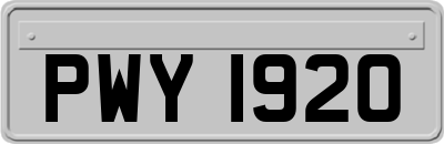 PWY1920