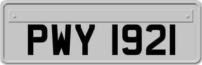 PWY1921