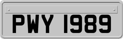 PWY1989