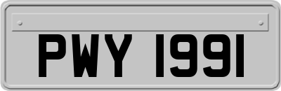 PWY1991