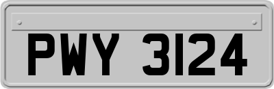 PWY3124