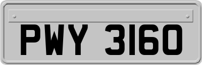 PWY3160