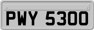 PWY5300